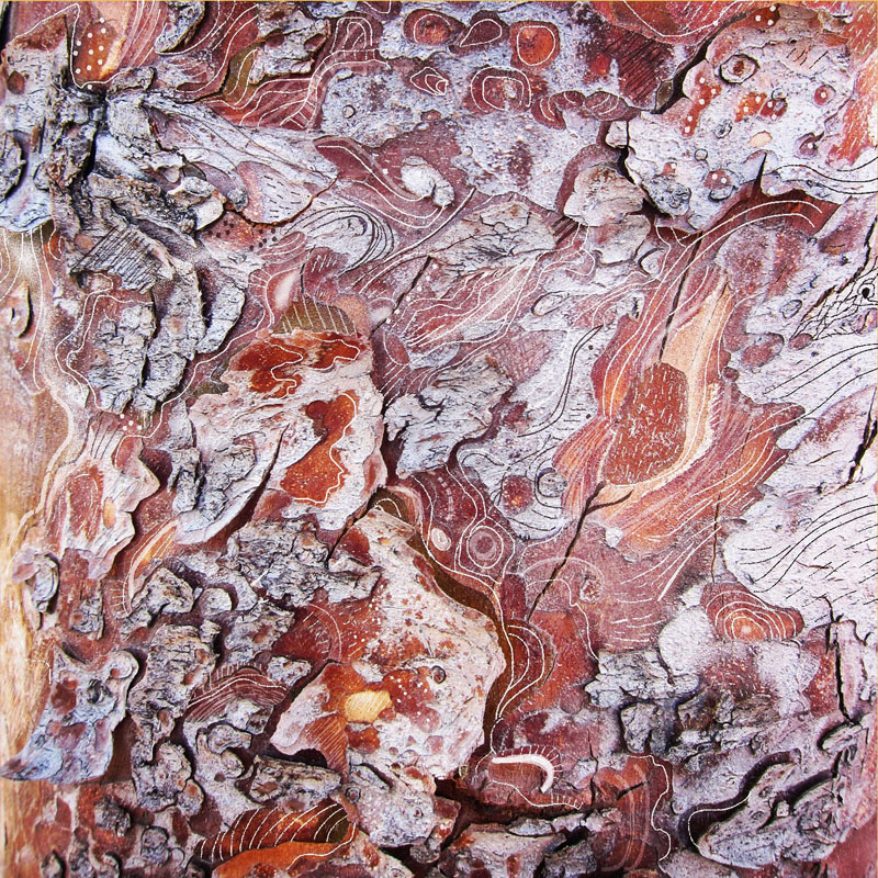 burnt umber bark lines