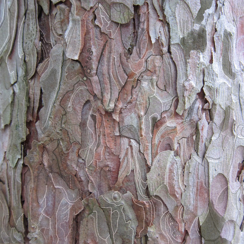 Bark Pink Green White Lines